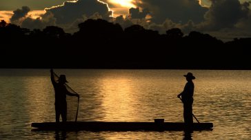 La furia del río Magdalena, la creciente ya ha desbordado su cauce &nbsp; Rafael Camargo Vásquez El río Magdalena amenaza con romper récords históricos en Puerto Salgar, alcanzando los 5,20 [&hellip;]