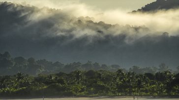 Nuquí, Colombia: Un paraíso en el Pacífico que encapsula la esencia de la belleza natural, donde la exuberancia de la selva se fusiona con la inmensidad del océano. Es un [&hellip;]