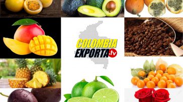 Alimentos que se ha incrementado en exportaciones    Bogotá, Colombia  El sector agropecuario de Colombia está viviendo un momento dorado. El más reciente informe del Departamento Administrativo Nacional de Estadística […]