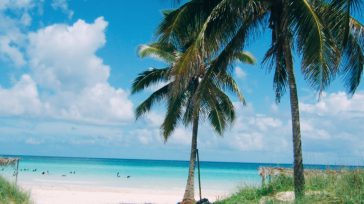 Armonía  Texto y fotos Lázaro David Najarro Pujol Primicia Diario Cuba Cuba distingue como líder en sostenibilidad costera y turismo responsable, según  los resultados del prestigioso Ranking Internacional de las [&hellip;]