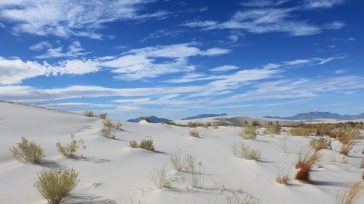 El Parque Nacional White Sands en Nuevo México es un asombroso paisaje de dunas de arena blanca de yeso, que ofrece una experiencia natural única en Estados Unidos. Es un [&hellip;]