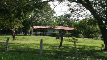 Trinidad, escenario de la Vorágine. Un patrimonio histórico      Hernán Alejandro Olano García El maestro Delfín Rivera Salcedo, a la memoria de Cayetano Barrera e Isabel Dorsonville Obando, ha […]