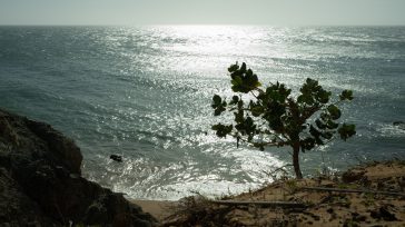 El Cabo de la Vela es un accidente costero y destino turístico en la península de La Guajira, Colombia, donde el desierto se encuentra con el mar Caribe. Es un [&hellip;]