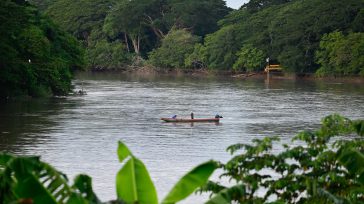 Un sereno río serpentea entre una exuberante vegetación tropical, con una pequeña embarcación deslizándose tranquilamente por sus aguas.