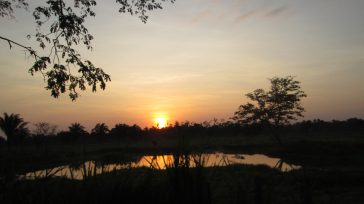 Amanecer en Tame      Hernán Alejandro Olano García El municipio de Tame, ubicado en el piedemonte araucano, ha sido históricamente un escenario silenciado en los relatos nacionales. Sin embargo, […]
