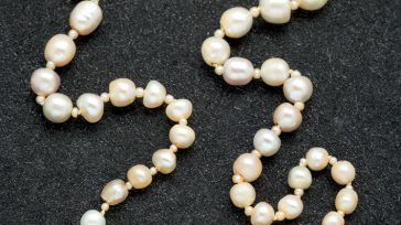 Collar de perlas, uno de mis favoritos.   María Angélica Aparicio P. Lo destaca su uniforme azul oscuro y su sonrisa al acecho del bien. Está siempre de buen humor. […]