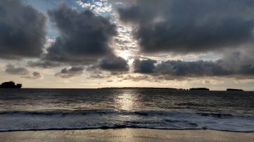 Las nubes oscuras de la extorsión se han instalado en la costa pacífico y en especial a Buenaventura      Gustavo Álvarez Gardeazábal El porce La esencia de la crisis […]