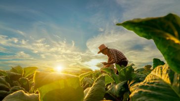 Las exportaciones colombianas de productos agropecuarios, alimentos y bebidas alcanzaron un hito en mayo de 2025, sumando 1.319 millones de dólares.     Economía  Bogotá, Colombia  Las exportaciones colombianas de […]