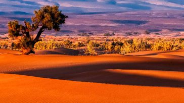 El Sáhara Occidental, como su nombre indica, ocupa la parte occidental del desierto del Sáhara. Con apenas dos habitantes por kilómetro cuadrado, es uno de los territorios menos poblados de […]