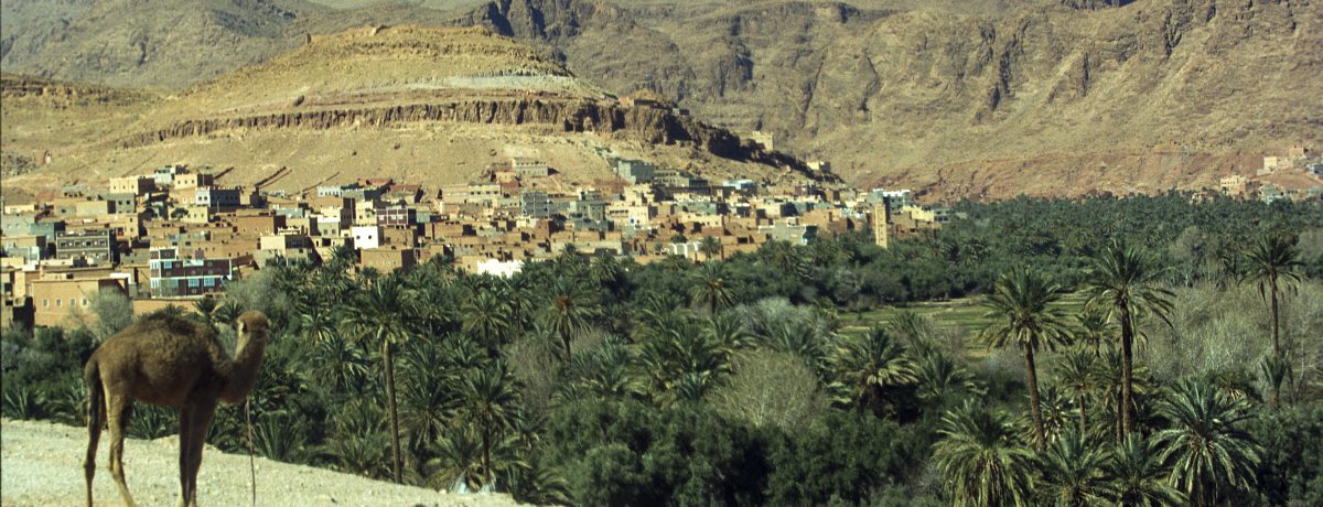 El valle del Dadès, en Marruecos, es conocido por sus dramáticos paisajes desérticos, con kasbahs de adobe y palmerales que contrastan con las áridas montañas del Atlas.  