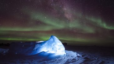 La aurora austral, también conocida como luces del sur, es un fenómeno natural de luces brillantes y coloridas que se produce en el cielo nocturno de la Antártida. Es el […]