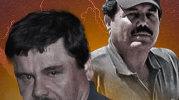 Joaquín «El Chapo» Guzmán e Ismael «El Mayo» Zambada     Amalia Williams New York La legendaria alianza criminal entre Joaquín «El Chapo» Guzmán e Ismael «El Mayo» Zambada, que […]