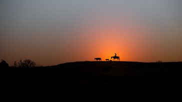 Los garrafales desaciertos de los últimos meses han repercutido en las acciones desafortunadas de estos días. Gustavo Álvarez Gardeazábal   El Porce Los seres humanos no somos perfectos. Todos tenemos […]