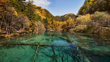 El Lago de las Cinco Flores (Wu Hua Hai) es una joya de Jiuzhaigou, China, famoso por sus aguas cristalinas de tonalidad turquesa que revelan troncos sumergidos. Sus colores cambian […]