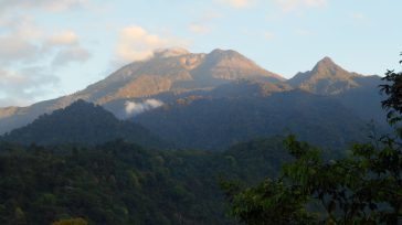 Desde la Finca Piamonte, en el departamento de San Marcos, Guatemala, se divisa el majestuoso volcán Tajumulco, enmarcado por los extensos cafetales que caracterizan la región de San Rafael Pie […]