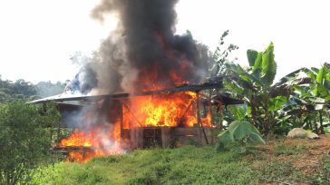 Las autoridades estiman que la destrucción de estos laboratorios representa una afectación de más de 30.000 millones de pesos colombianos.   Primicia Diario Judicial   En un contundente golpe a […]