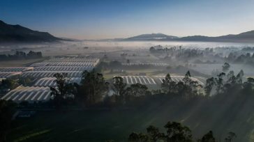 Una de las regiones agrícolas más importantes de Colombia—, correría el riesgo de perder su función productiva, afectando la seguridad alimentaria y fragmentando su territorio rural a cambio de urbanizar. […]