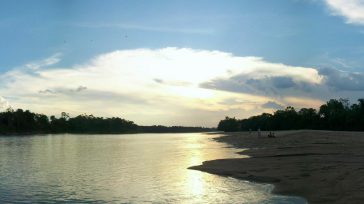 El río Putumayo, considerado un eje sagrado por las comunidades indígenas del Alto Putumayo como los Kamëntsá e Inga, es un afluente vital que nace en Colombia y nutre directamente […]
