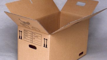 Caja de cartón        María Angélica Aparicio P. Una caja de cartón simple, sin arandelas y dibujos, atraía nuestra atención cada diciembre del año escolar. Era de color […]