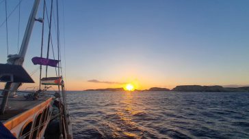 «Nos despedimos de Grecia. Nuestra próxima parada es Gaza para abrir un corredor humanitario para el pueblo palestino que hoy sufre un genocidio», reportan los activistas  amenazas de Israel.    […]