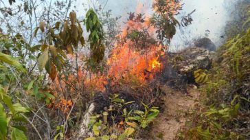 13 de los incendios están liquidados y dos permanecen activos en Nilo y Tocancipá.  Federico Higuera  Una ola de 15 incendios de cobertura vegetal ha devastado 90,4 hectáreas en ocho […]