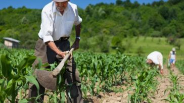 La Corte enfatizó que los concursos para cargos de jueces y magistrados de esta nueva jurisdicción deben evaluar el conocimiento sobre los derechos de las comunidades campesinas, asegurando que las […]