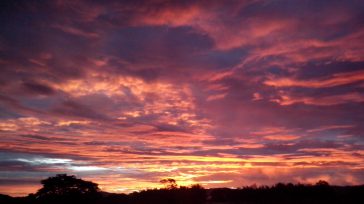 El amanecer en Pitalito, Huila, se pinta con una espectacular paleta de colores, donde intensos tonos anaranjados, rojos y púrpuras se mezclan en las nubes. El cielo parece incendiarse sobre […]