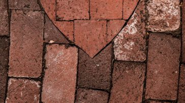 Cortesía Tim Mossholder He sentido las horas oscuras en las que el alma se siente a la deriva, sin rumbo ni certeza. Pero con el tiempo comprendí que en esa […]