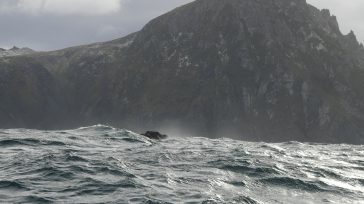 El Cabo de Hornos es el punto más austral de la Tierra del Fuego, notorio por ser el lugar geográfico donde la «furia del mar» se manifiesta por la confluencia […]