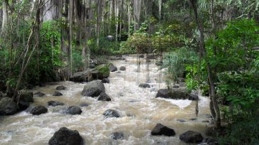 El Parque El Gallineral es una hermosa isla natural en San Gil, Santander, formada por el río Fonce y la quebrada Curití. Es famoso por sus caminos empedrados y sus […]