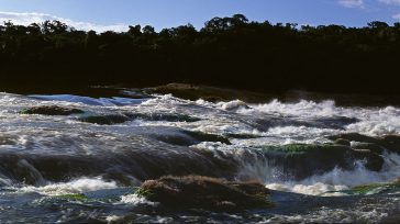 Rápidos del río Apaporis, afluente del Amazonas que recorre una de las zonas con mayor biodiversidad y riqueza cultural del país. Foto: Eric Feferberg/AFP.     Agencia Unal  El Territorio […]
