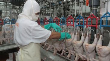Por primera vez en la historia, un contenedor de carne de pollo colombiana ha sido recibido satisfactoriamente en el riguroso y prestigioso mercado de Japón.     Exportaciones Primicia Diario […]