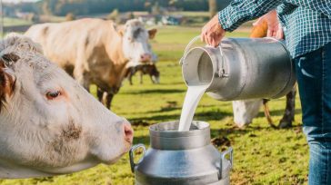 Empeorará la situación de los productores de leche en Colombia, empujando hacia la quiebra a 350 mil familias de pequeños y medianos ganaderos. Jorge Enrique Robledo A partir del primero […]