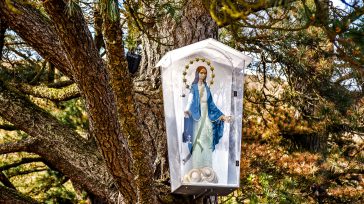 MAMÁ MARIA Gustavo Alvarez Gardeazábal El Porce Mi madre me decía que yo tenía oído de artillero. Ella, que tocaba el violín diariamente y que ayudó a sostener el engranaje [&hellip;]