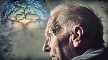 Para los especialistas en terapias «antiaging», el mejor tonificador cerebral son las zapatillas de deporte. El ejercicio mejora el ritmo cardíaco y la oxigenación, manteniendo sanas las conexiones neuronales esenciales [&hellip;]