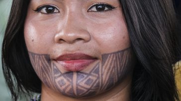 Rostro de Tierra Alta Córdoba   &nbsp; &nbsp; «Brillo en los Grammy»: Karol G impactó con un vestuario vanguardista mientras Paola Jara hizo historia como la primera mujer popular nominada en [&hellip;]