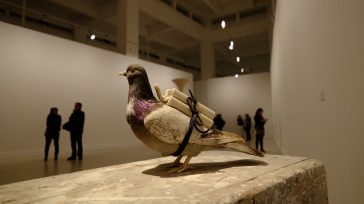 El escenario nacional ha sido moldeado por hilos invisibles de poder que utilizan el terror, la incertidumbre y la miseria como herramientas para perpetuar la corrupción y el control social. [&hellip;]