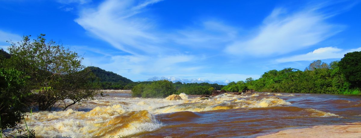 El Tuparro es una imponente reserva natural en el Vichada, famosa por sus extensas sabanas, tepuyes y el Raudal de Maipures en el río Orinoco. Es un santuario de biodiversidad [&hellip;]