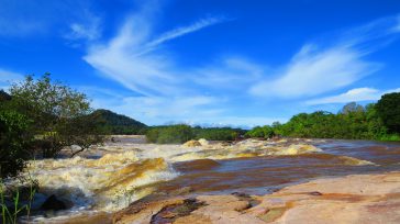 El Tuparro es una imponente reserva natural en el Vichada, famosa por sus extensas sabanas, tepuyes y el Raudal de Maipures en el río Orinoco. Es un santuario de biodiversidad [&hellip;]