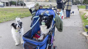 Gustavo Alvarez Gardeazábal El Porce Este país anda tan patas arriba que lo difícil ahora es encontrar en un parque a una mamá  o un papá paseando su niño en [&hellip;]