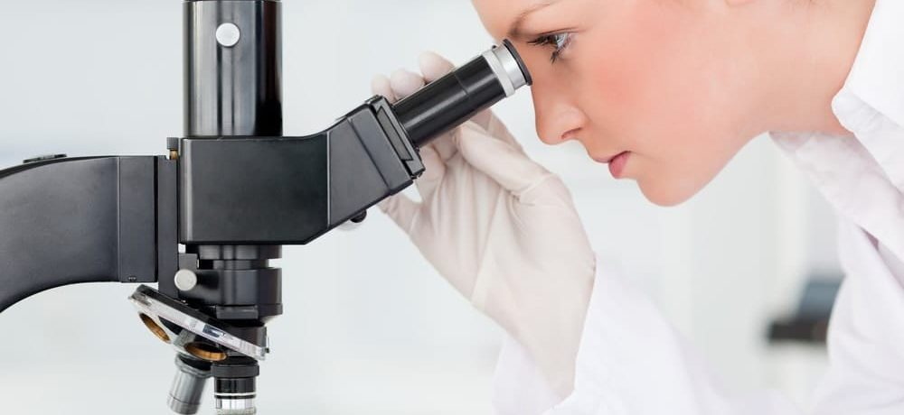 El microscopio no es solo una herramienta; es el símbolo de una convicción científica: que en lo más profundo de la materia se encuentran las respuestas para comprender la vida [&hellip;]