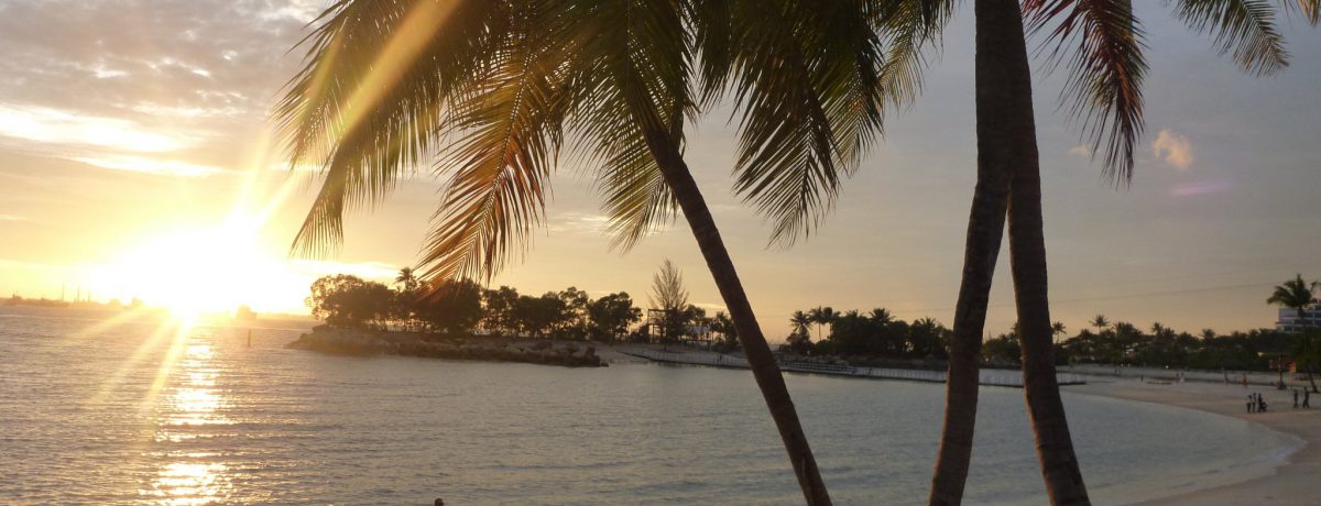 Sentosa es un sofisticado refugio de cinco kilómetros cuadrados que fusiona playas de arena blanca con ingeniería de vanguardia y complejos de entretenimiento de clase mundial. Situada en el extremo [&hellip;]