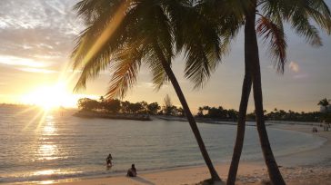 Sentosa es un sofisticado refugio de cinco kilómetros cuadrados que fusiona playas de arena blanca con ingeniería de vanguardia y complejos de entretenimiento de clase mundial. Situada en el extremo [&hellip;]