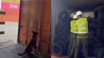 La cocaína se encontraba meticulosamente oculta en el interior de llantas para vehículos, una estratagema que buscaba burlar los escáneres de seguridad, pero que fue neutralizada gracias al olfato de [&hellip;]