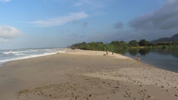 La imposición de un seguro de asistencia obligatorio para todo visitante que desee ingresar a las áreas protegidas. Según el gremio, esta medida no solo resulta «injusta y arbitraria», sino [&hellip;]