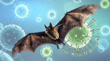 El virus Nipah es una enfermedad zoonótica, es decir, se transmite de animales a humanos, y tiene como principal reservorio al murciélago de la fruta.  &nbsp; Primicia Diario Internacional El [&hellip;]