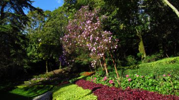 Los jardines de una de las universidades bogotanas. &nbsp; Primicia Diario Históricamente, la academia en Colombia se había beneficiado de una estructura legal que le permitía eludir el pago de [&hellip;]
