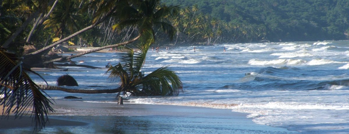 La movilización militar en Cuba y el bloqueo energético han desatado una crisis que sitúa al petróleo en máximos históricos, desafiando la estabilidad del Caribe. Hoy lunes será decisivo para [&hellip;]