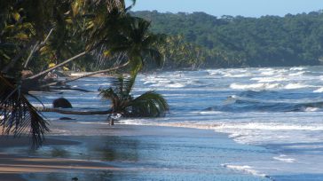 La movilización militar en Cuba y el bloqueo energético han desatado una crisis que sitúa al petróleo en máximos históricos, desafiando la estabilidad del Caribe. Hoy lunes será decisivo para [&hellip;]