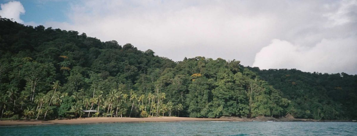 Pacífico colombiano . Rafael Camargo Vásquez Económicas  En un paso decisivo para saldar las deudas históricas con el occidente del país, el Gobierno Nacional ha dado luz verde al CONPES [&hellip;]